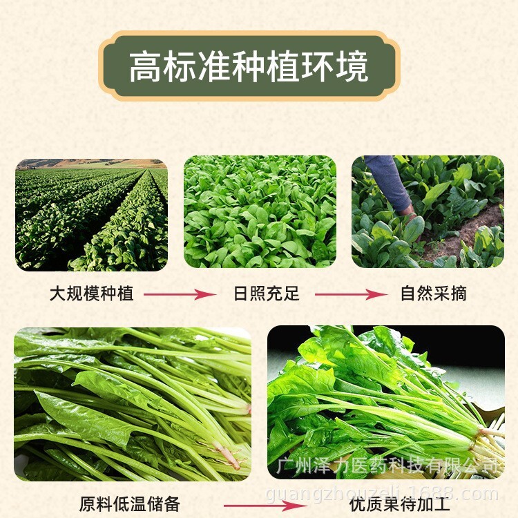 菠菜濃縮粉噴乾粉綠色天然植物提取鈣鐵鋅食品級原料廠家批發