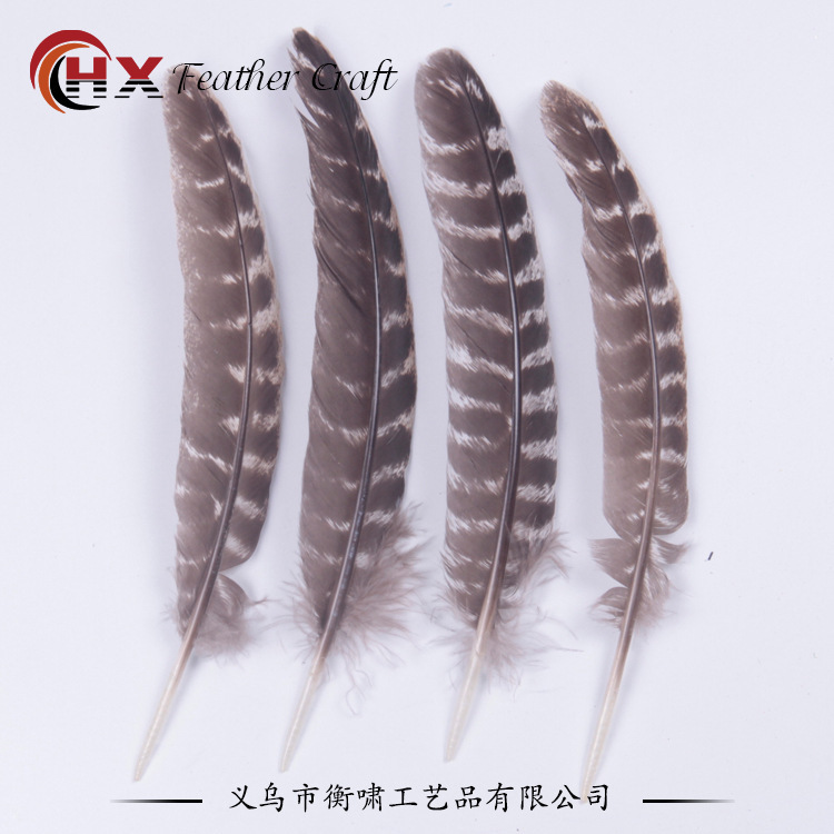 20-30 centimeters of natural striped turkey feathers, DIY decorations, turkey hair.