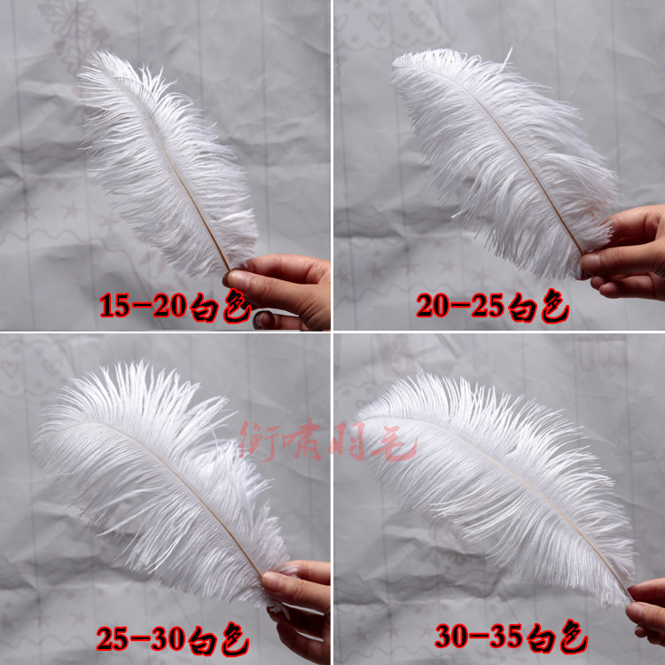 The manufacturer's white-coloured ostrich hair 15-80cm stage large feather decorated with wedding feathers.