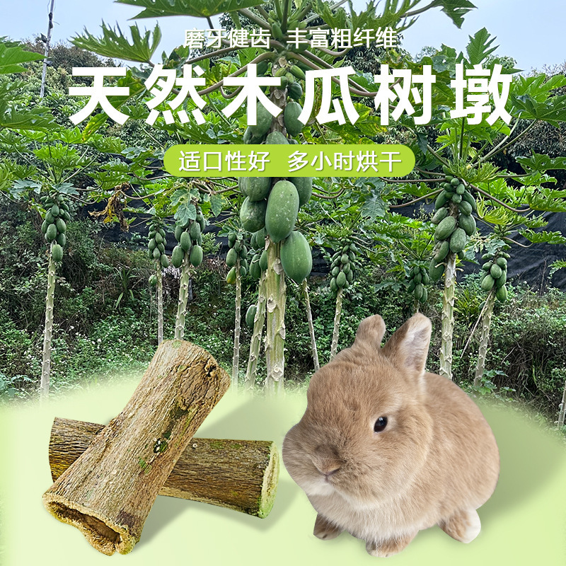 宠物兔兔磨牙木瓜墩排毛助消化龙猫荷兰猪磨牙咬木零食啃咬玩具