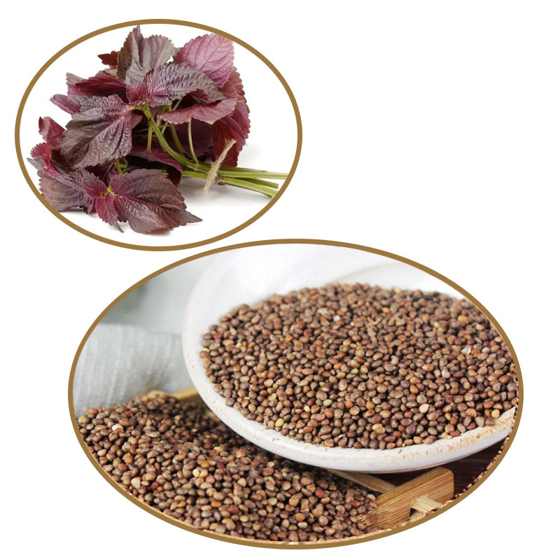 Export of raw raw oil from the Heilongjiang province in the form of a batch of purple sour seeds,