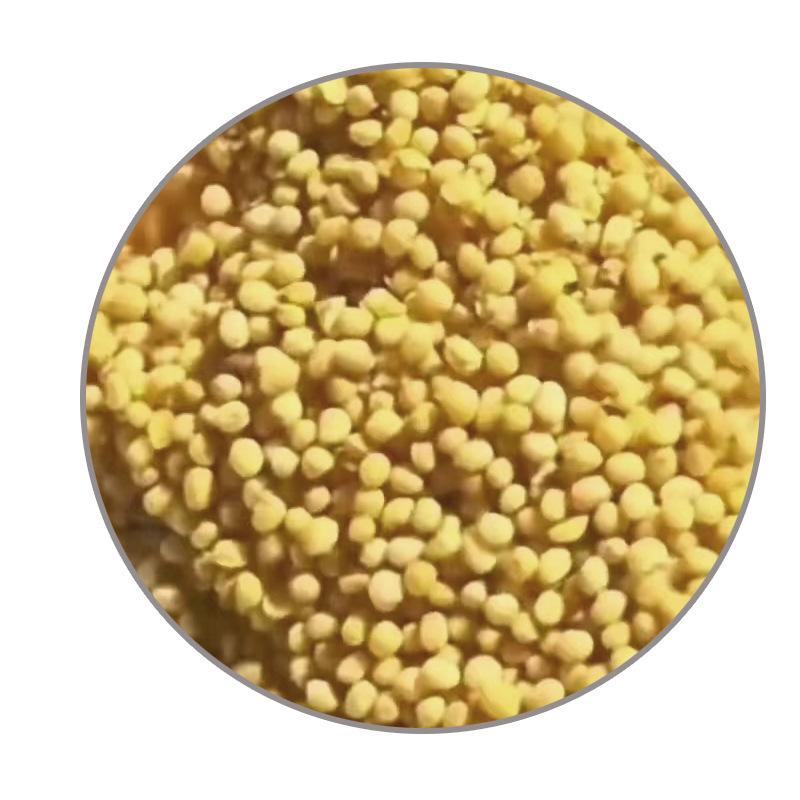 Export mustard seeds, top quality, thousands of tons of supplies, plant sales, mustard oil.