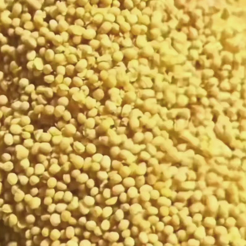 Export mustard seeds, top quality, thousands of tons of supplies, plant sales, mustard oil.