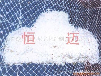 안전 그물, 건물 안전 그물, 백색 안전 그물, 충돌 안전 그물.