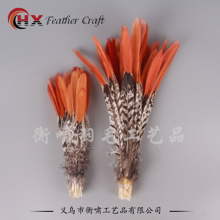 The factory sells natural pheasant hair, copper chicken red arrow feathers, 20-25 cm, wild bird feathers, chicken hairs.