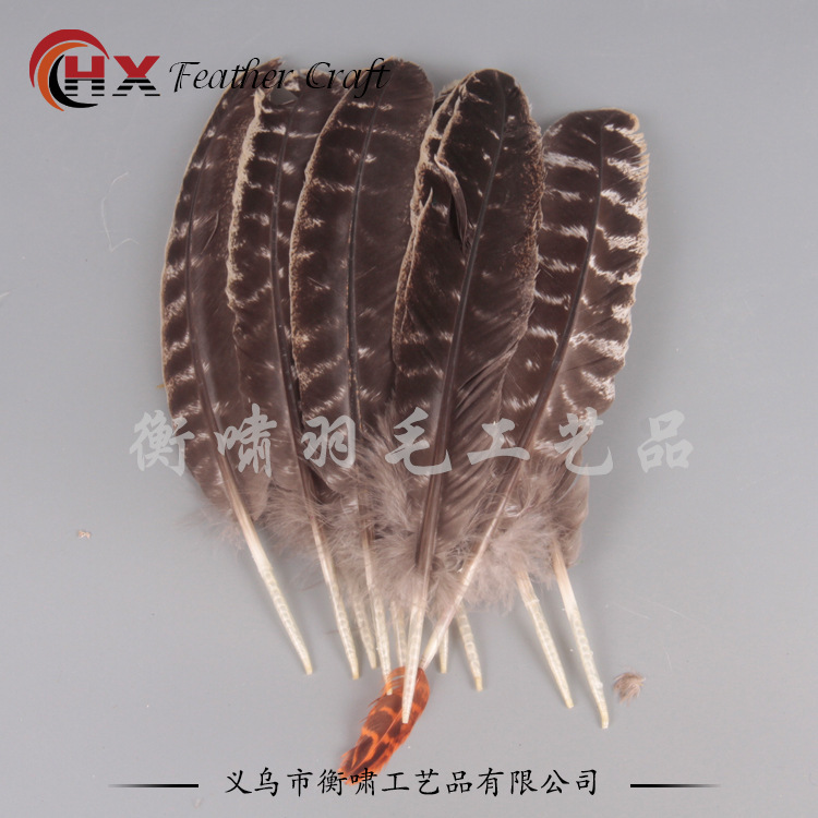 20-30 centimeters of natural striped turkey feathers, DIY decorations, turkey hair.