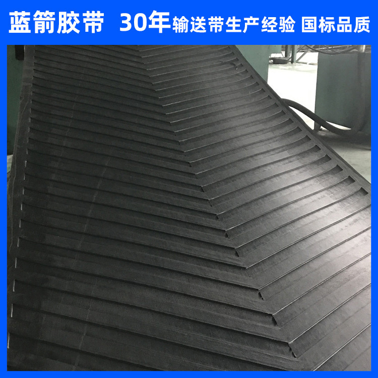 Hebei Blue Arrow bán dây thần kinh giao hàng của nylon.