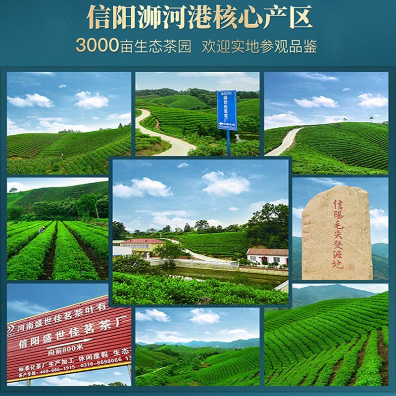 2024 머리, 2024 머리, 사이트맵 주요 특징 사이트맵 Qiu Qiu Ziu Ziu Ziu Ziu Ziu Ziu Ziu Ziu Ziu Ziu Ziu Ziu Ziu Ziu Ziu Ziu