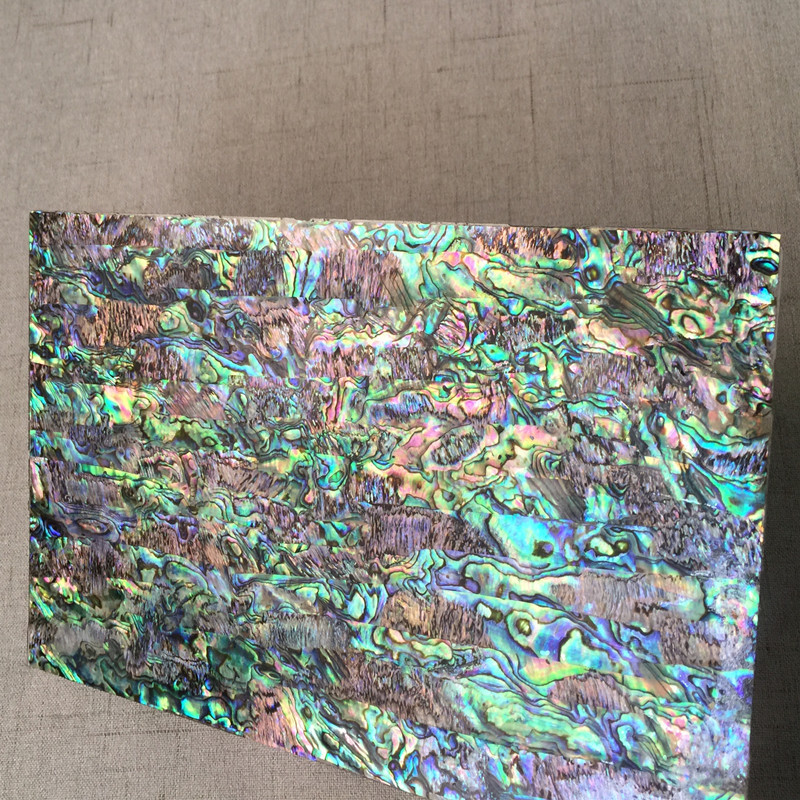 One millimeter-thirty New Zealand abalone shellboard.