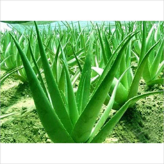 High-quality americium extraction fluid, direct marketing, sufficient supply, quality assurance, first hand supply.