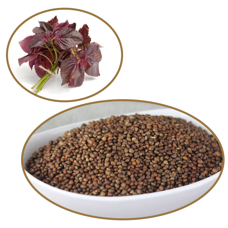 Export of raw raw oil from the Heilongjiang province in the form of a batch of purple sour seeds,