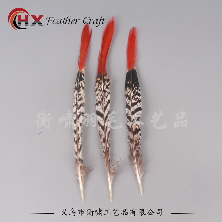 The factory sells natural pheasant hair, copper chicken red arrow feathers, 20-25 cm, wild bird feathers, chicken hairs.