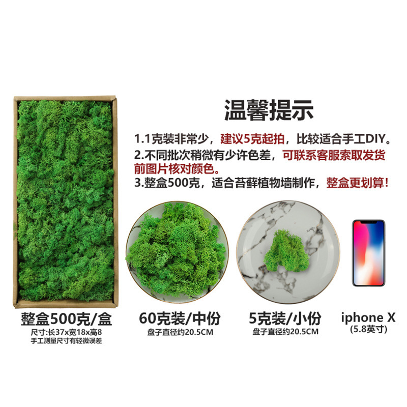 进口挪威苔藓鹿角藓鹿芯藓鹿蕊藓防火永生苔藓青苔仿真绿植苔藓墙