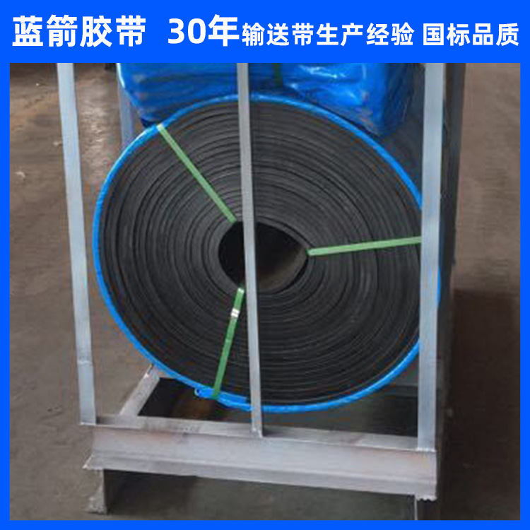 Supply of NN/EP ring industrial transport belt for Hebei Blue Arrow Plant 650 mm alkalin fertiliser conveyor belt