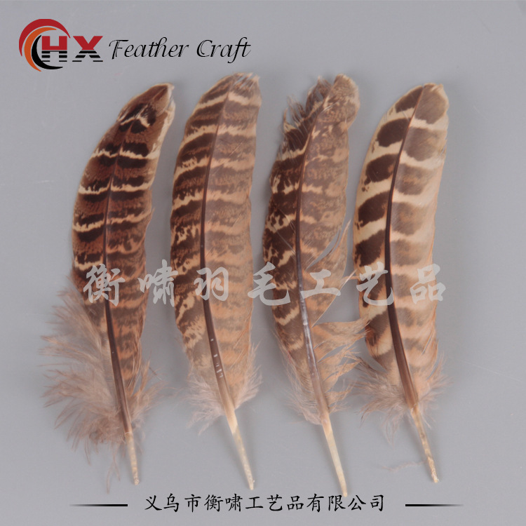 Supply, high-quality chicken nest, 10-15 cm, colored pheasant feathers, natural feather wholesale.