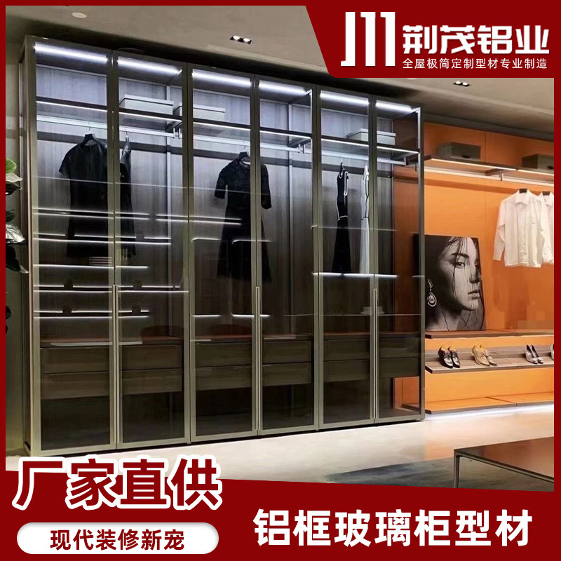 現代簡約家裝衣櫃玻璃門 配內嵌拉手玻璃櫃門 鋁合金玻璃櫃平開門