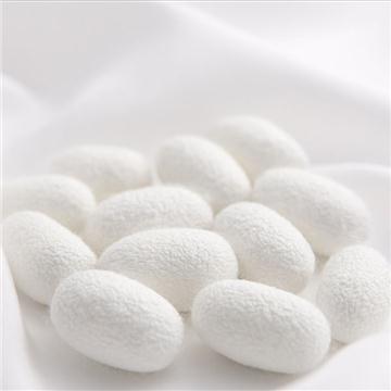 Natural silk silk filament (soluble natural filament protein)
