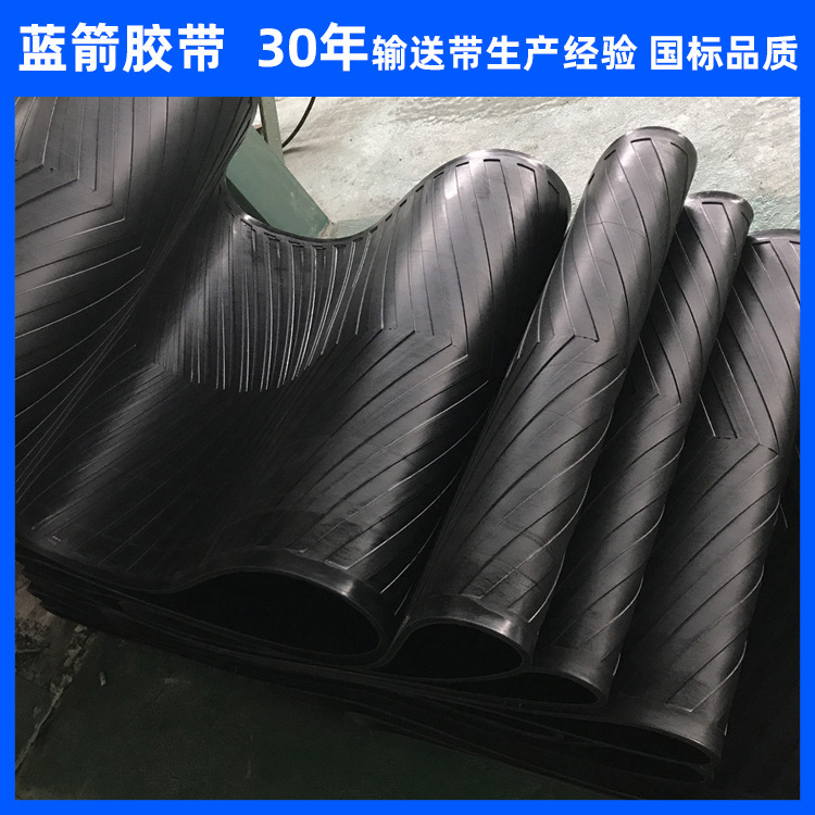 Hebei Blue Arrow bán dây thần kinh giao hàng của nylon.