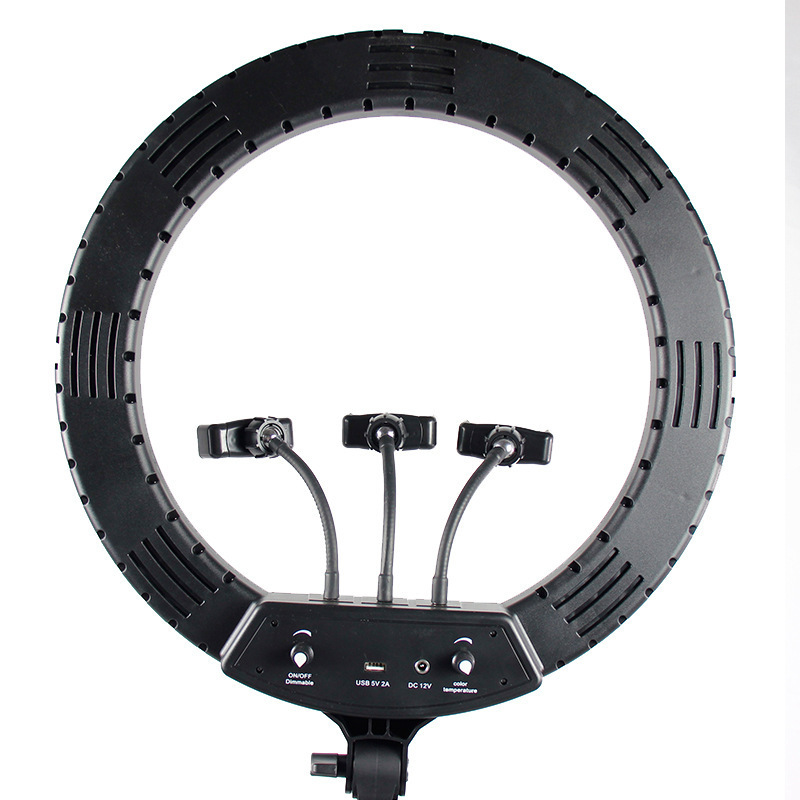 살아있는 대를 가진 18-inch-45-cm 반복 빛.