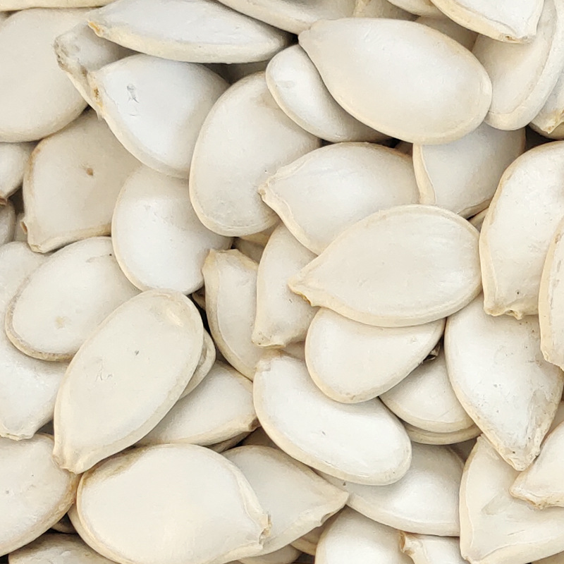 The plant sells 13mm of white melons, selects AAA's white and white pumpkins.