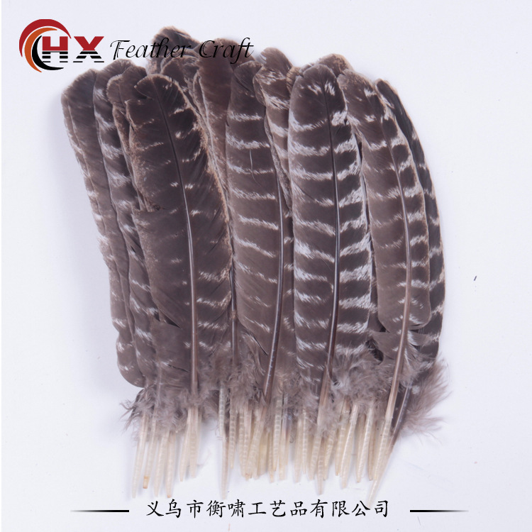 20-30 centimeters of natural striped turkey feathers, DIY decorations, turkey hair.