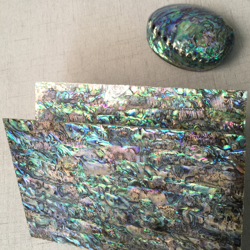 One millimeter-thirty New Zealand abalone shellboard.