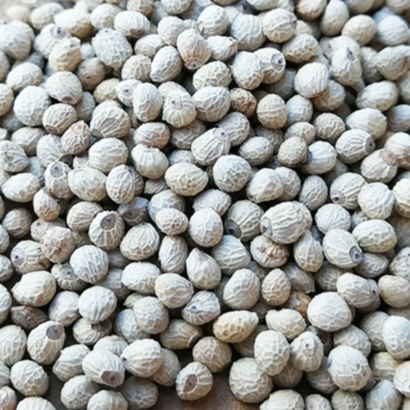 I'm going to export the white sour seeds from Korea and Japan, the raw materials from the white sour, the parrot pearl bird, the bird's food.