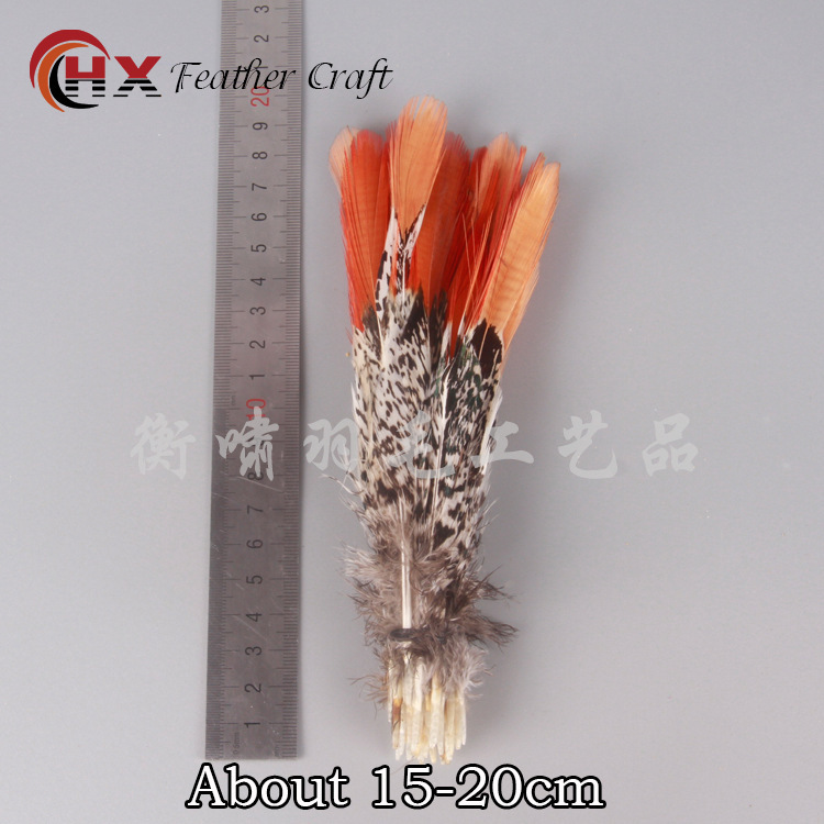 The factory sells natural pheasant hair, copper chicken red arrow feathers, 20-25 cm, wild bird feathers, chicken hairs.