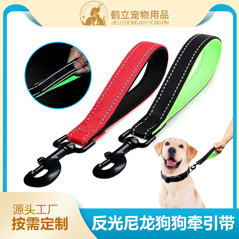 Con chó Nylon mới kéo dây kéo, kéo con thú cưng của nó ra một cách nhẹ nhàng bằng dây chó xay.