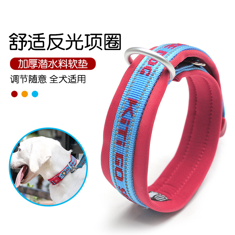 Bạn biết đấy, bạn có thể làm bất cứ điều gì bạn muốn với một vòng cổ chó đẹp, ngọt ngào.