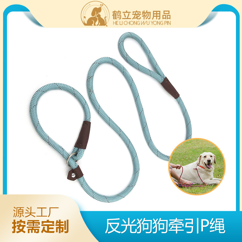 Hàng loạt vật nuôi phản ứng với dây kéo con chó ra ngoài vào ban đêm để buộc dây con chó vào dây dẫn nó quay đầu.