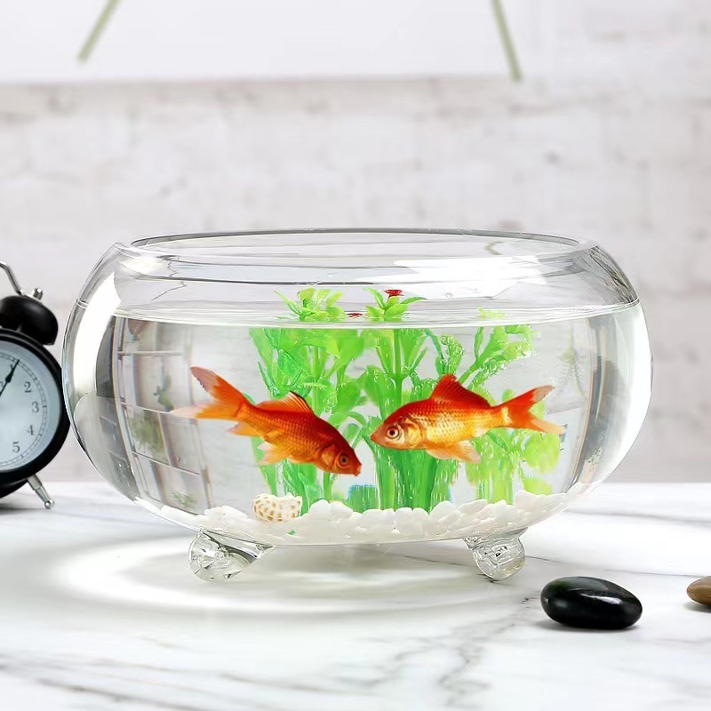 Những con rùa nước bàn nhỏ với những cái nắp chai dày, trong suốt và những cái vuốt.