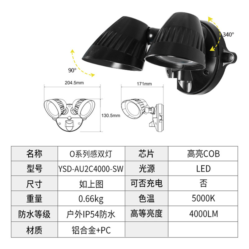 渝顺达 跨境外贸直供聚光灯照明灯户外LED铝制防雨防水室外庭院灯