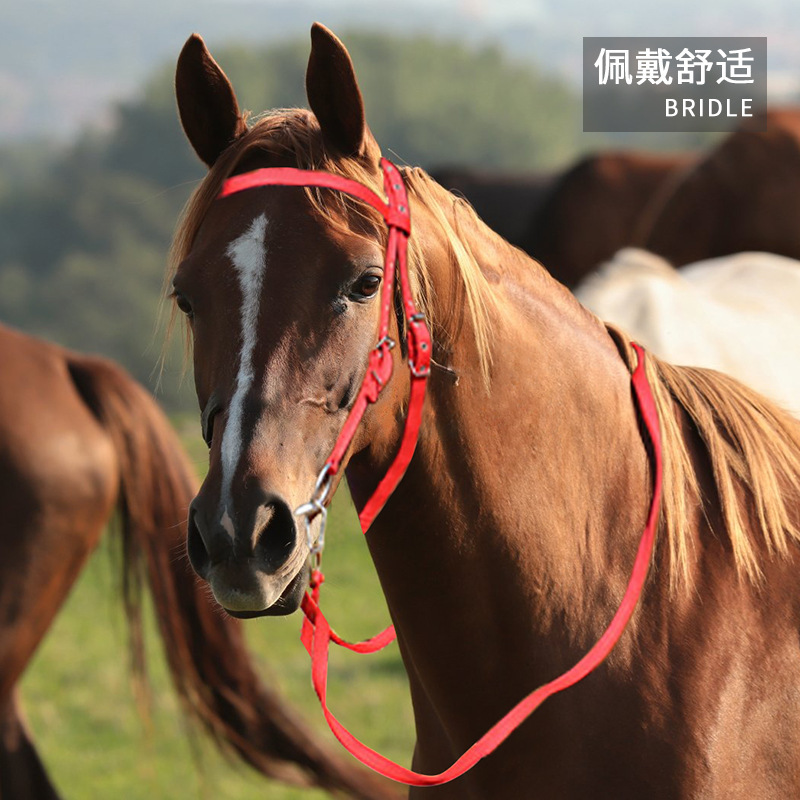 馬具用品 馬籠頭繩子騎馬水勒繮繩大小矮馬繮繩馬具型頭套配件