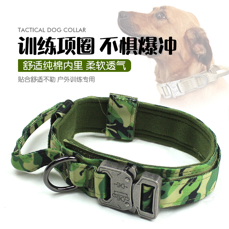 Toàn bộ sản xuất của con chó vòng tròn, con chó chiến thuật huấn luyện trong việc điều khiển vụ nổ vòng cổ.