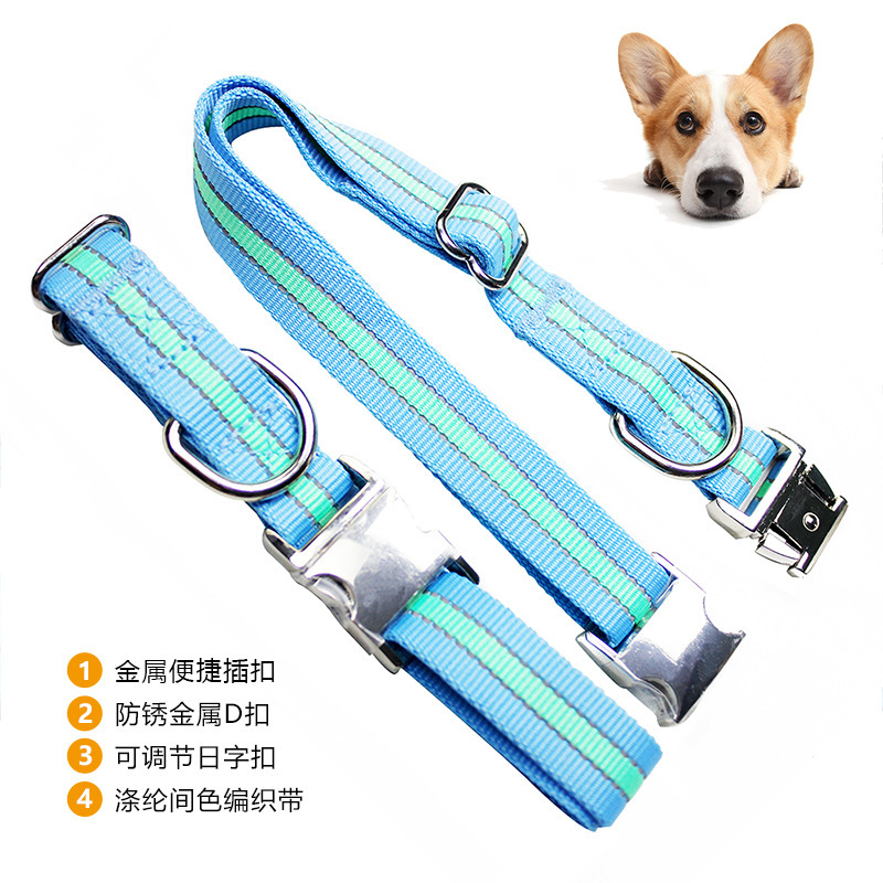Vật nuôi được tùy chỉnh liên tiếp phản chiếu chó vòng lớn, nhỏ, nhỏ, cổ áo vàng.