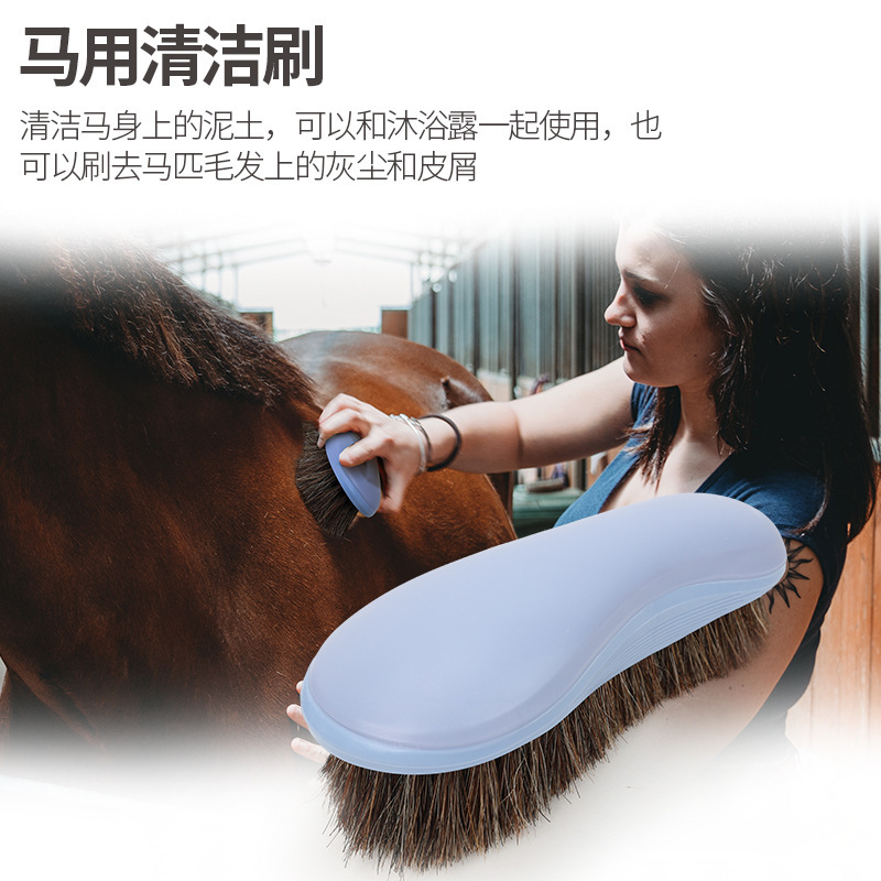 馬具用品 馬刷馬梳子 馬用清潔刷馬毛梳子 馬房用品