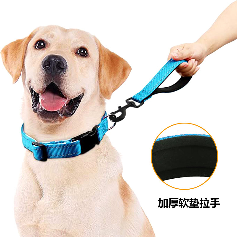 Con chó Nylon mới kéo dây kéo, kéo con thú cưng của nó ra một cách nhẹ nhàng bằng dây chó xay.
