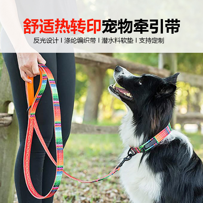Con chó kéo sợi dây nhẹ nhàng và nhẹ nhàng với màu sắc và bàn tay ấm áp của nylon.