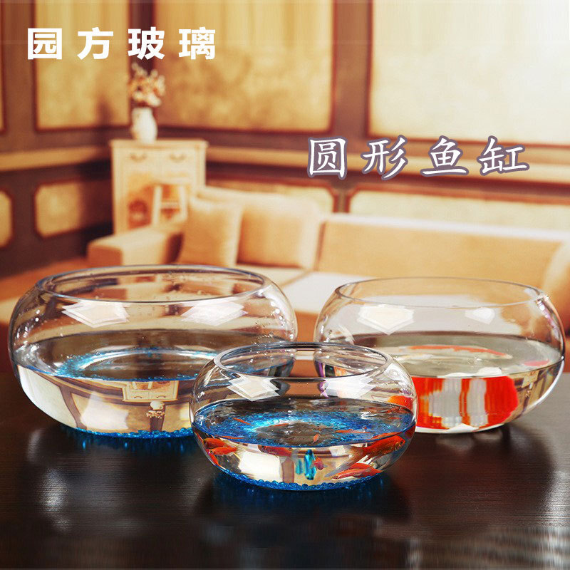 Trong suốt cái bát thủy tinh, con rùa biển khổng lồ.