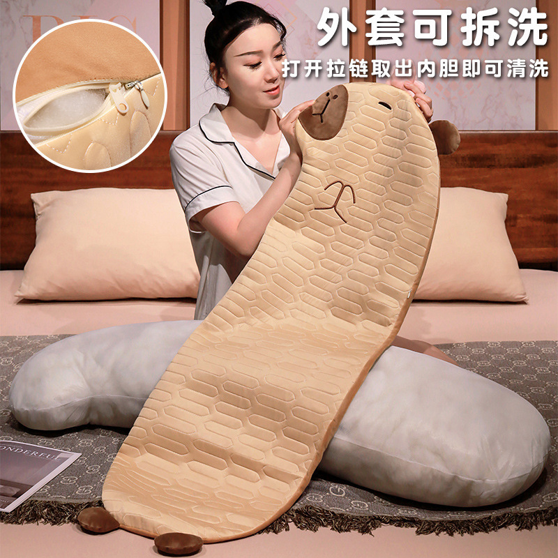 Cá heo có một dòng rất dài các bạn.