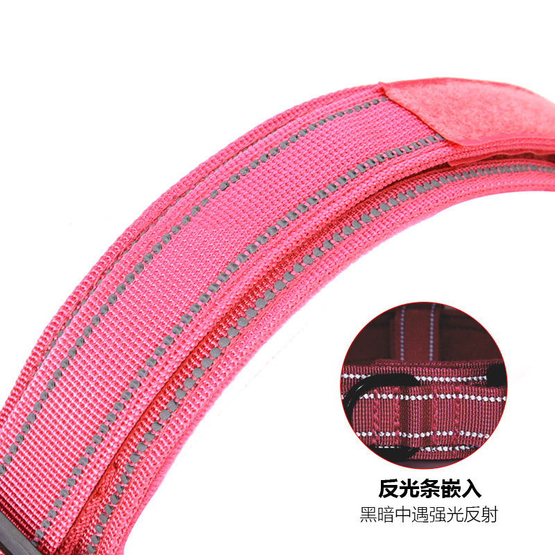 Thứ tự xuyên qua, cổ họng chó cao cấp hàng loạt zinc hợp kim phản ánh vật nuôi nylon chiến thuật đan len