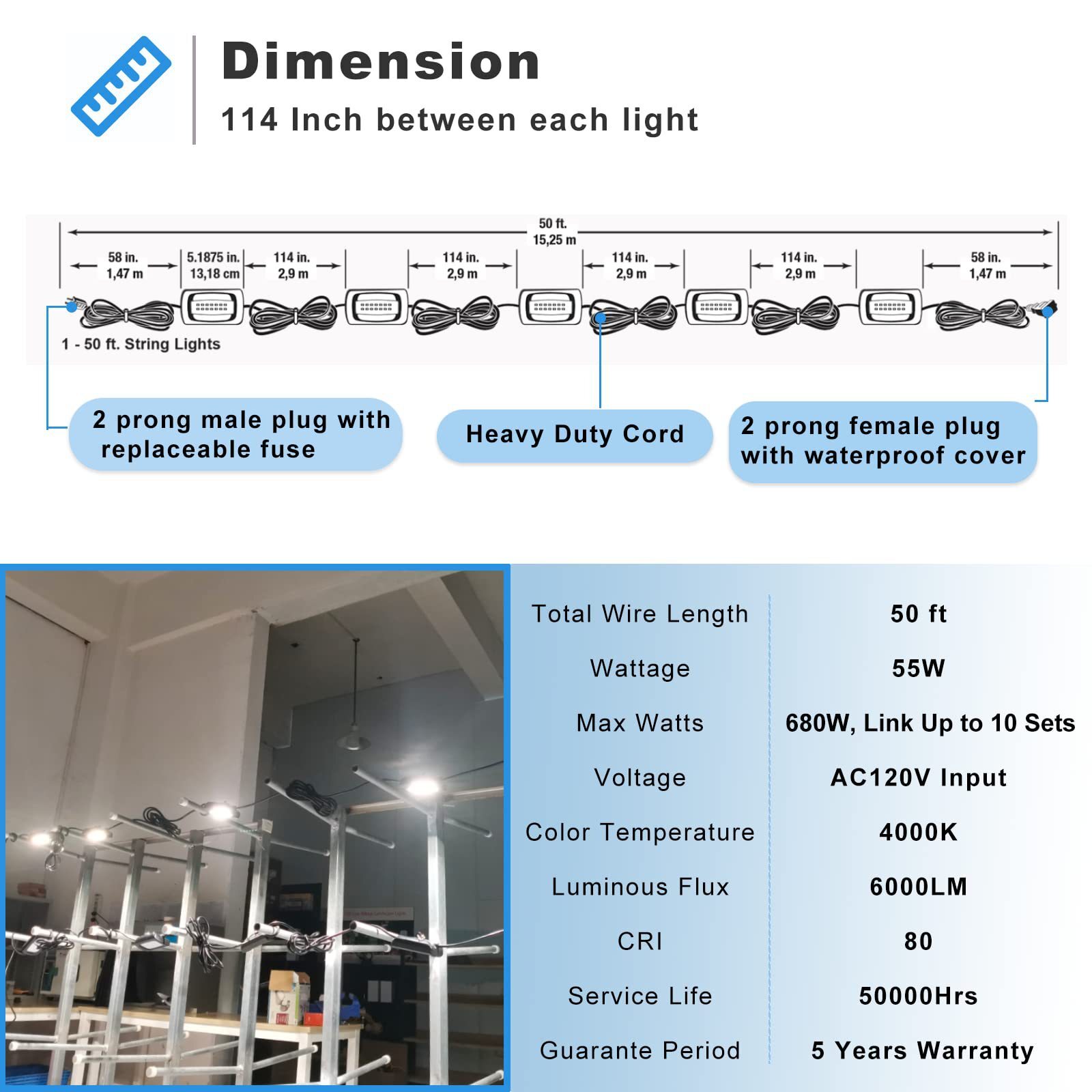 50FT Construction LED Springs