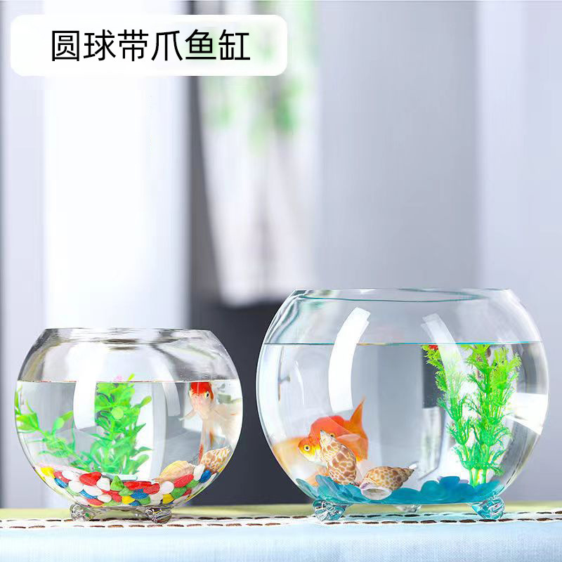 Ba cái bể cá thủy tinh ba chân, món quà sáng tạo được tô màu môi trường nhỏ, hàng hóa môi trường đa túi.