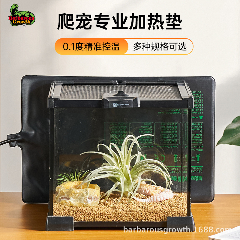 爬寵加熱墊烏龜守宮蜥蜴角蛙寵物保溫飼養箱加溫控溫器爬蟲恆溫墊