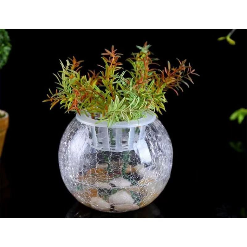 Những mảnh vụn cá hình trụ ngắn hơn hay dày hơn, nứt ra những vết nứt, những hàng rào mềm trên bàn ăn dành cho những người sáng tạo.