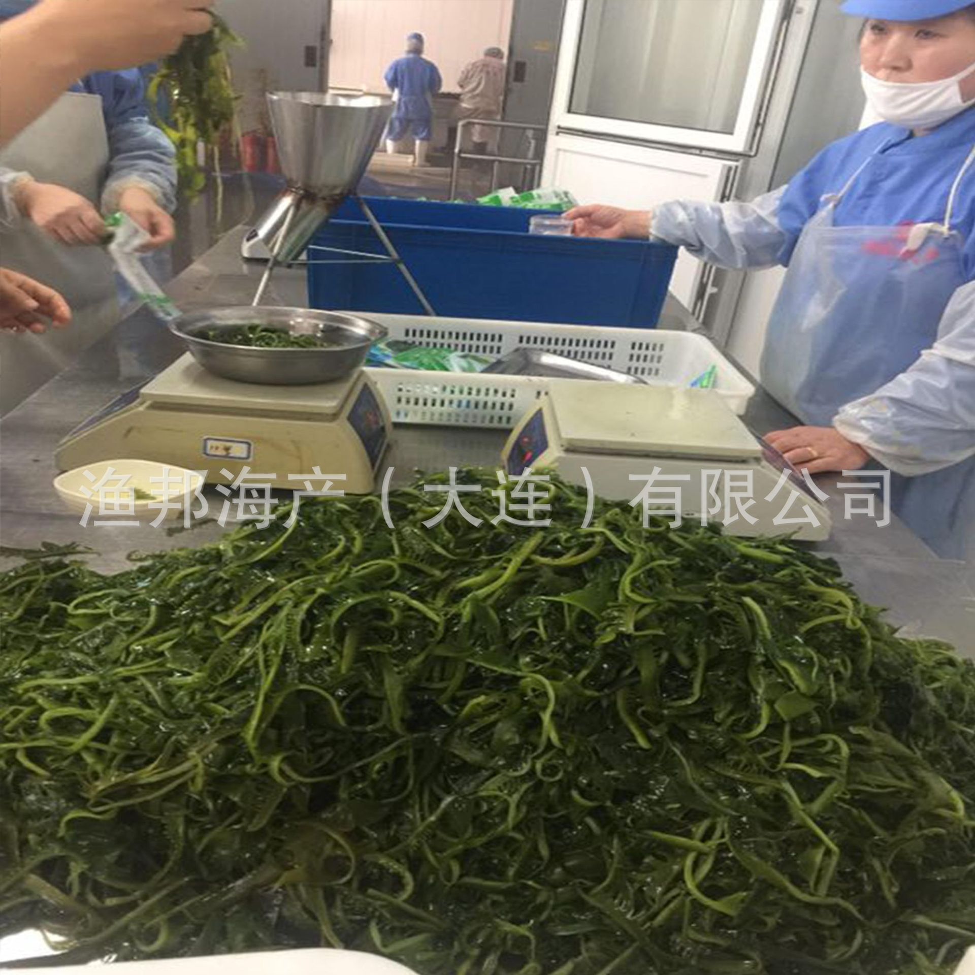 Cỏ biển mọc lên 300 g/bags.