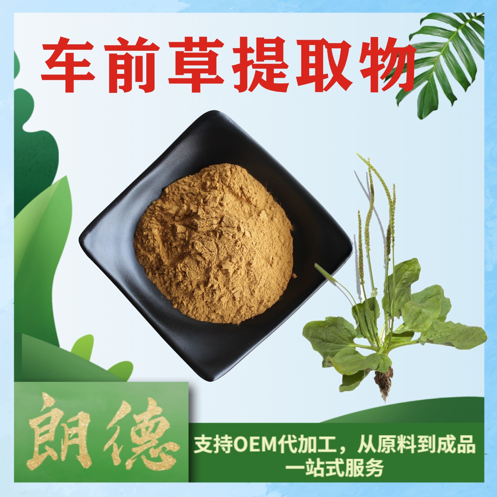 20:1 van front grass extraction, car tea extraction powder, wheel grass, clam extraction, 1kg delivery.