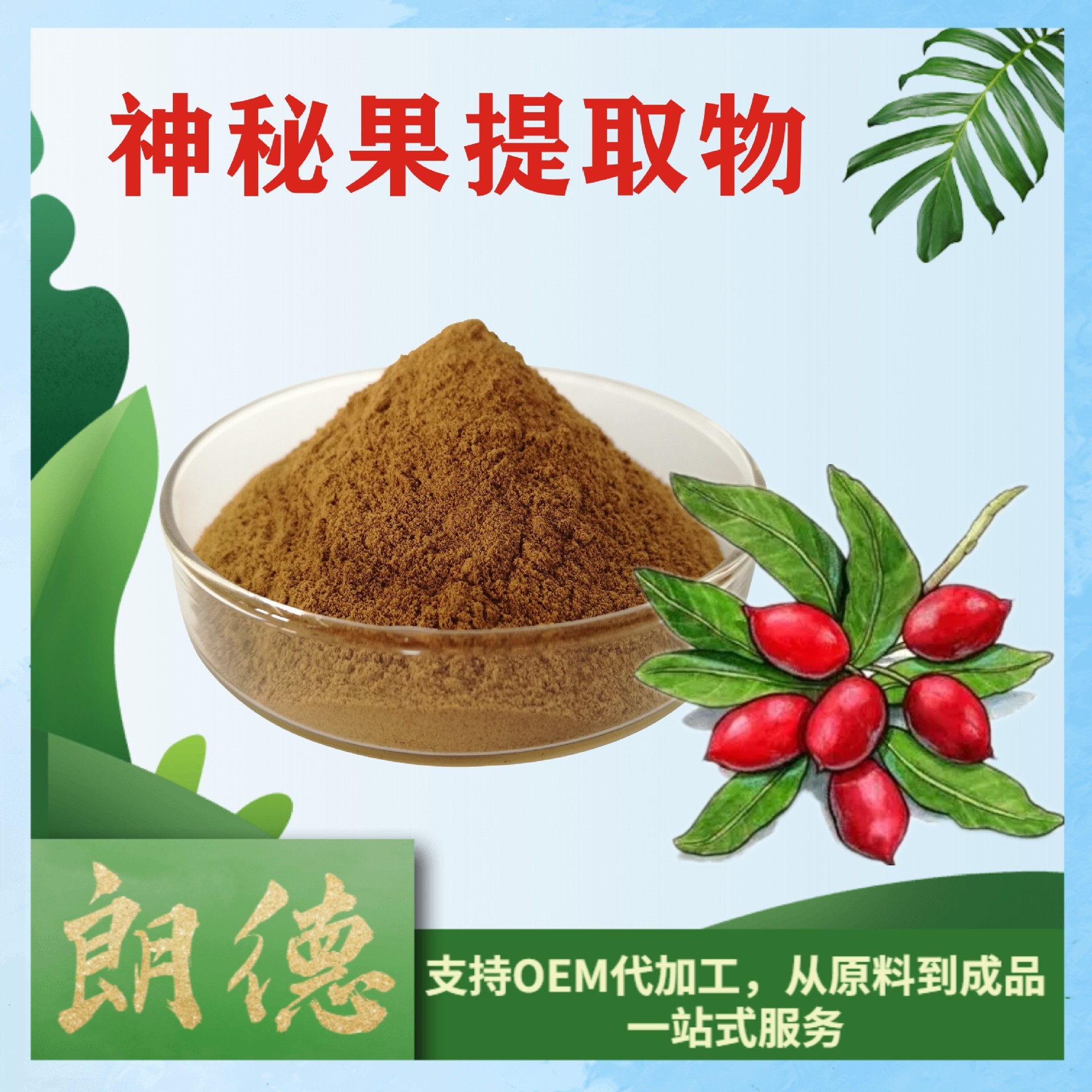 20:1 Mystic fruit extraction, fruit extraction, high price, water soluble mystic fruit powder, 1kg