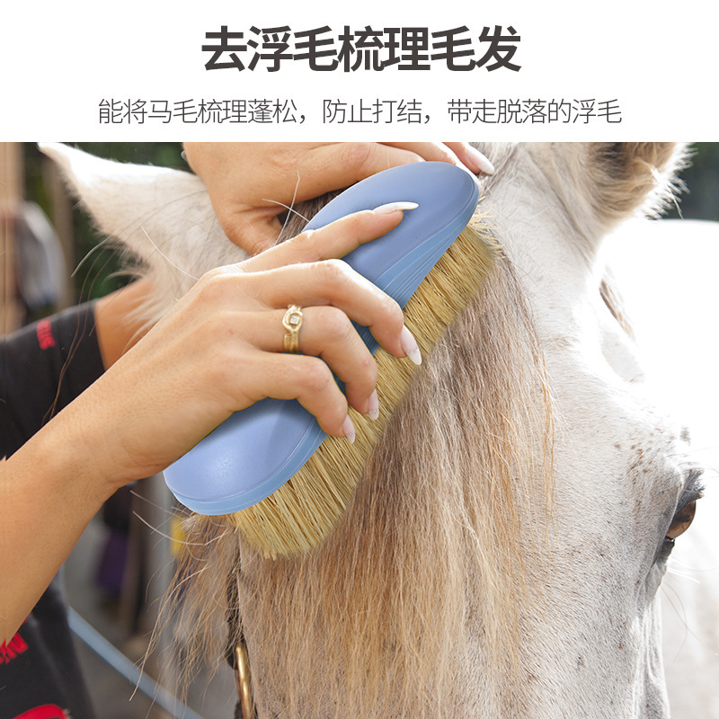 馬具用品 馬刷馬梳子 馬用清潔刷馬毛梳子 馬房用品